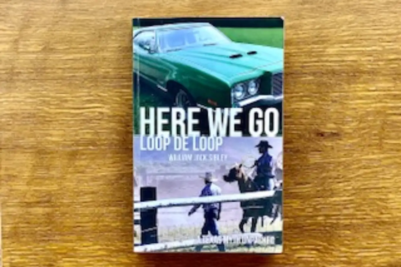 book-review-here-we-go-loop-de-loop Image
